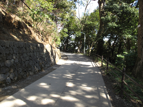 20160226hike (179)